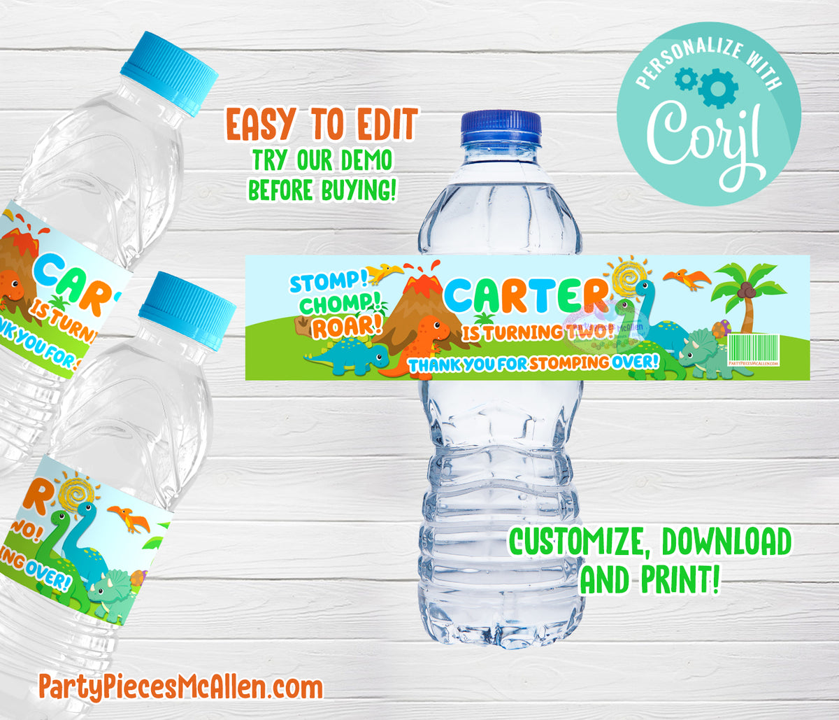 Dinosaur Editable Water Label – Party Pieces McAllen