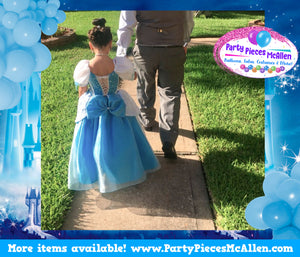 Cinderella Inspired Princess Dress