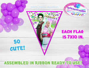 Addison and Zed Birthday Custom Banner Zombies 2